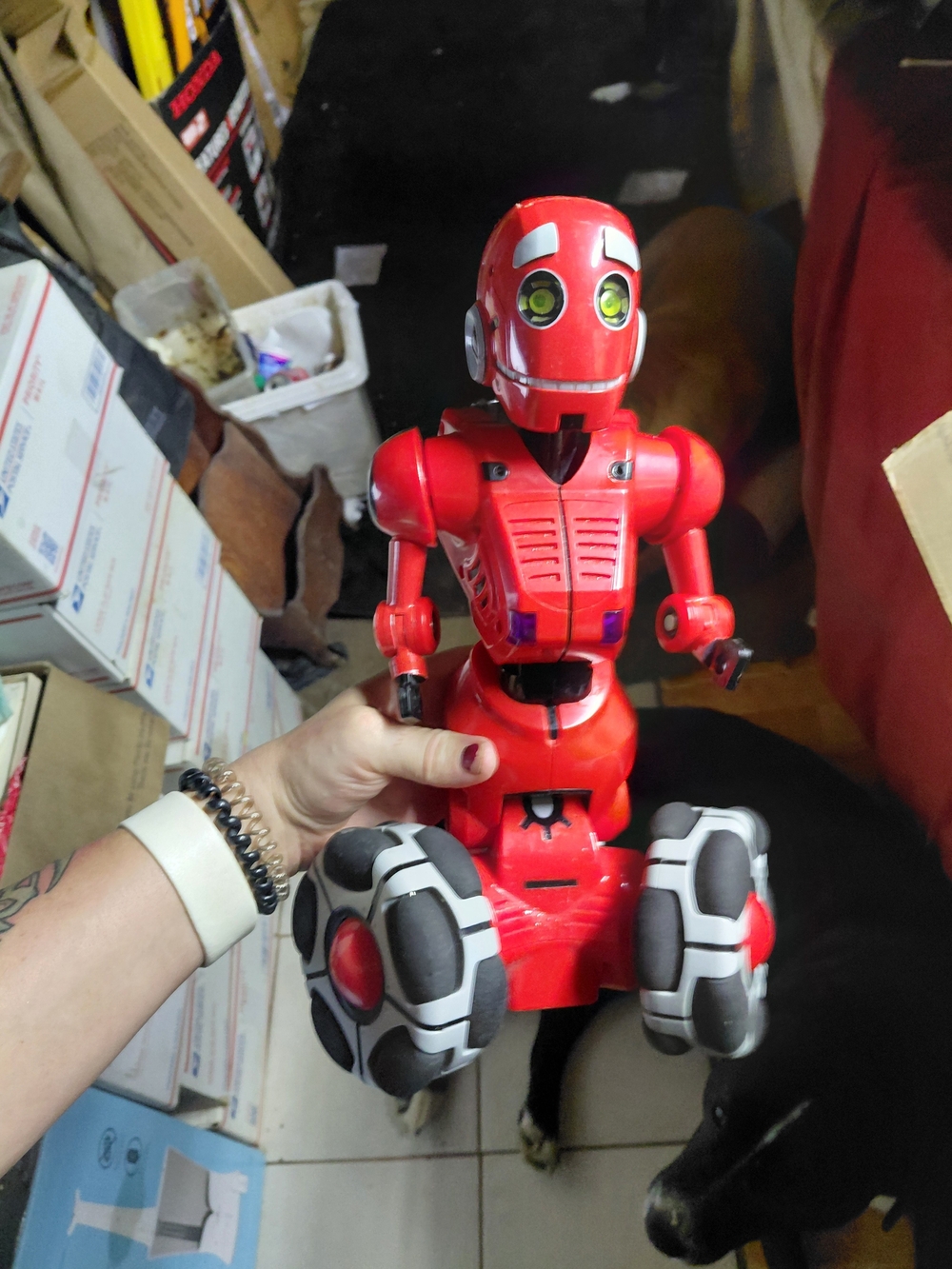 robot is a WowWee Tri-Bot interactive toy.